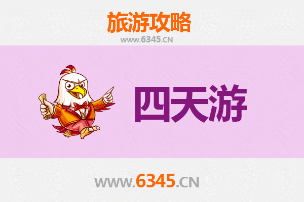 保亭加茂镇四天三夜深度游攻略：雨林探秘与黎苗文化体验